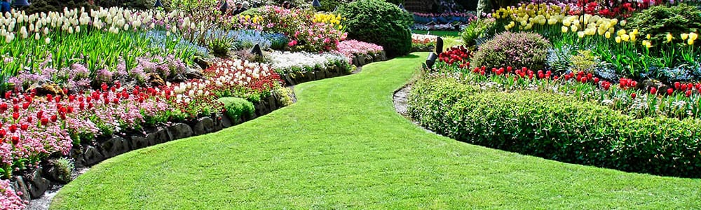 Garden Landscaping Company Fort Collins, Loveland Landscaping Companies