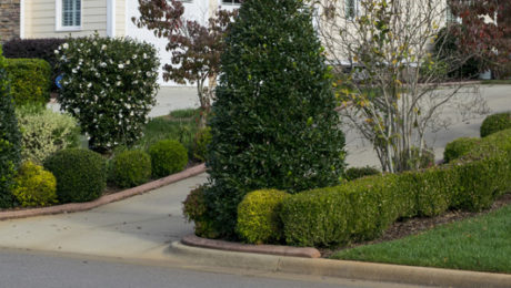 Landscaping Tips To Help Sell Your house