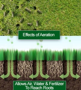Top 6 Lawn & Garden Winterization Tips | Free PDF Checklist - Lawn Winterization Checklist