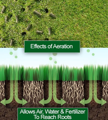 Aerate Lawn To Winterize