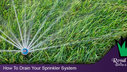 how to drain your home sprinkler irrigation system