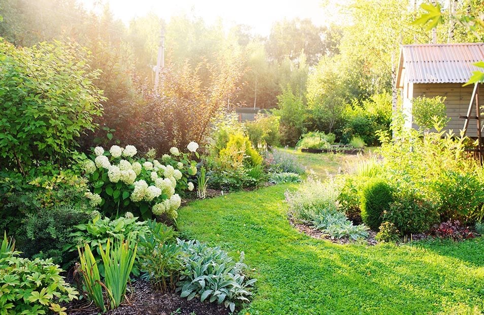 Fort Collins, Colorado Landscaping Services